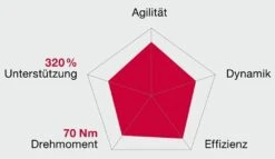 Brose Motor 250 Watt Drive-T Mag Ab 2020 (neu) -Bieg Brose Motor Drive T MAG 2020c