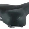 Selle Royal Freeway Damen 8494DC -Bieg da b